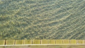 resized_42_api
